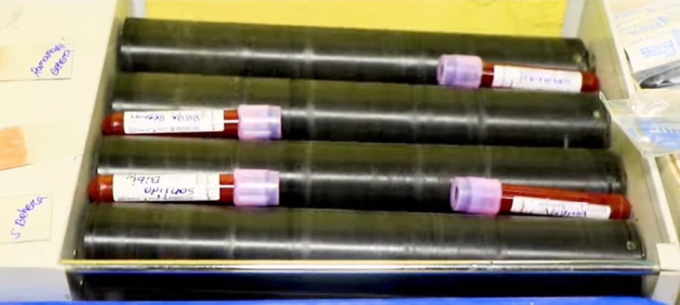 Blood sample collection